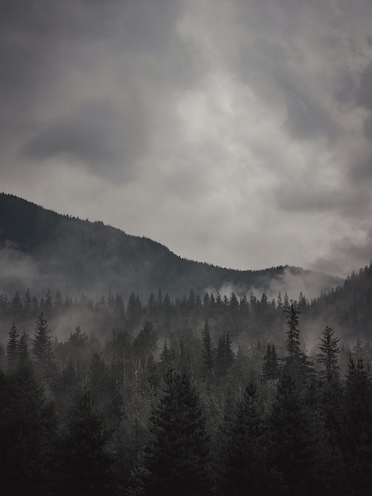 Stormy Sky Over Wilderness