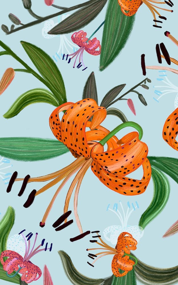 Leopardenlilien-Muster
