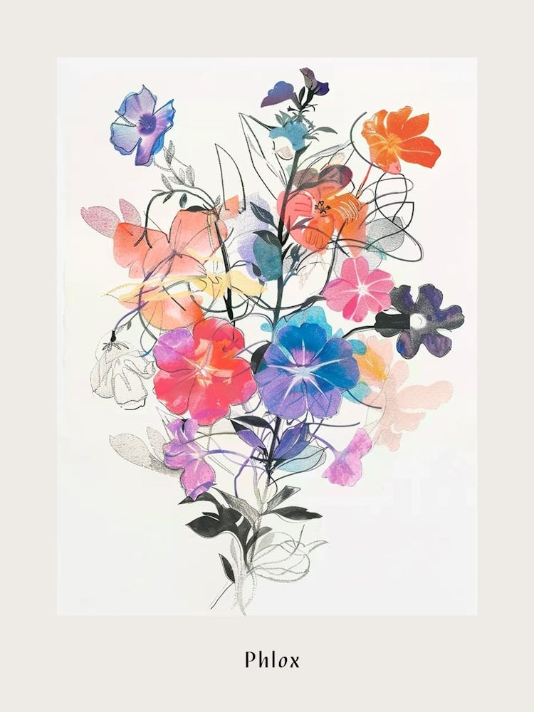 Phlox 1 Collage Flower Bouquet Poster