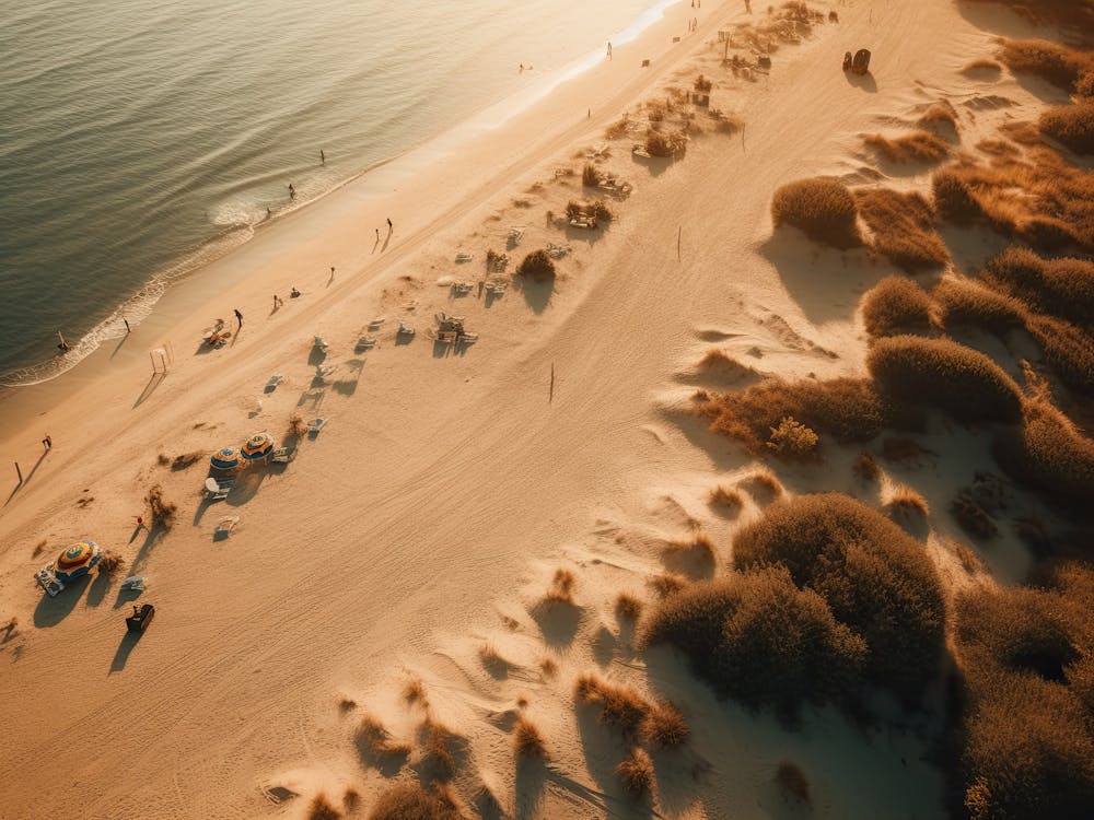Aerial View Of A Beach In Warm Tones 3