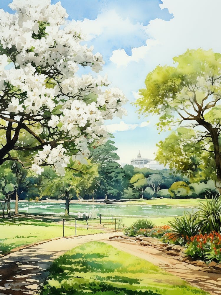 Royal Botanical Gardens Melbourne Australia Watercolour 1