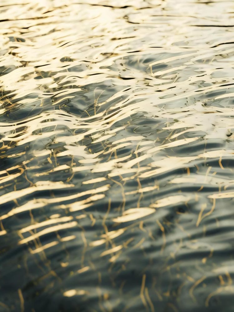 Water Ripples 6