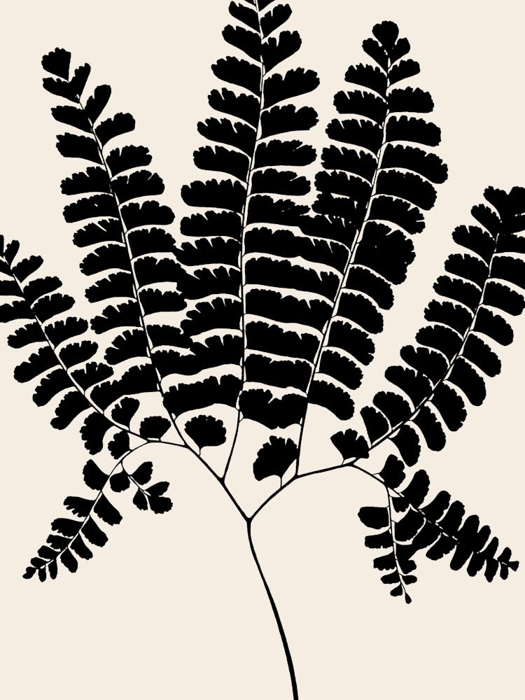 Fern Leaves in Black, Farmhouse Botanical 1