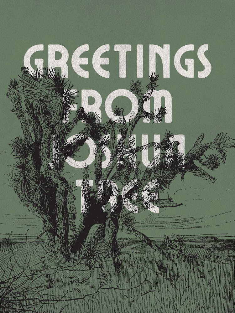 Greetings from Joshua Tree Print | Joshua Tree National Park Wall Art | California Wall Art | California Decor | Travel Wall Art | California Art | California Prints | Joshua Tree Decor | Desert