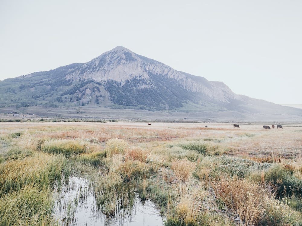 Mountain Morning Serenity