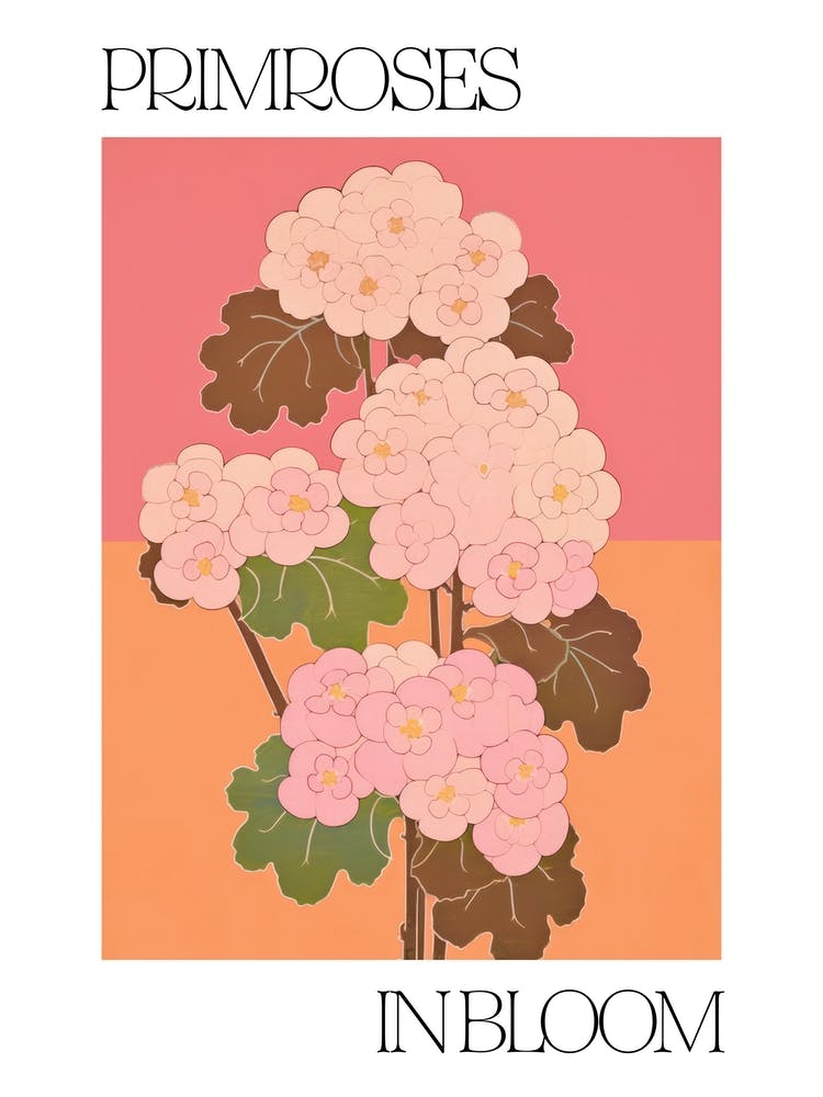 Primroses In Bloom Flowers Bold Illustration 3