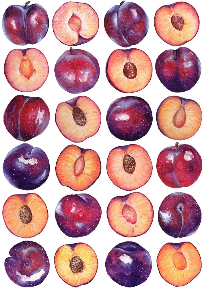 Repeat Pattern Plum