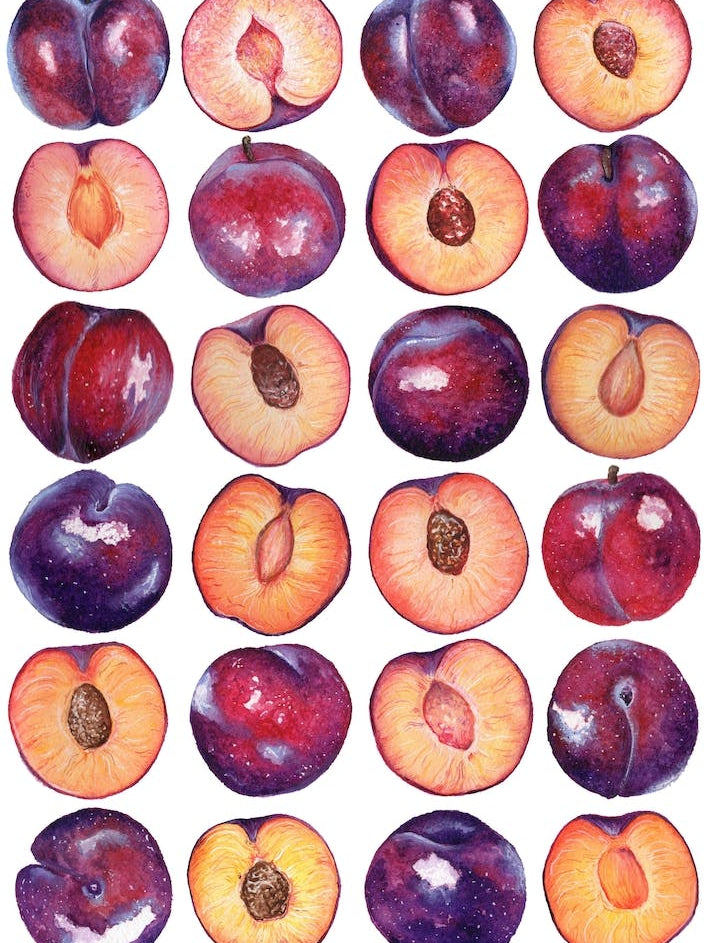 Repeat Pattern Plum