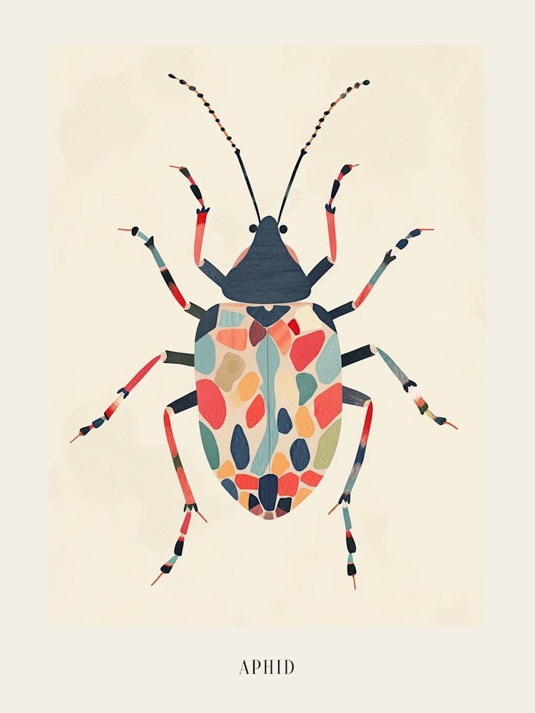 Colourful Insect Illustration Aphid 14 Poster