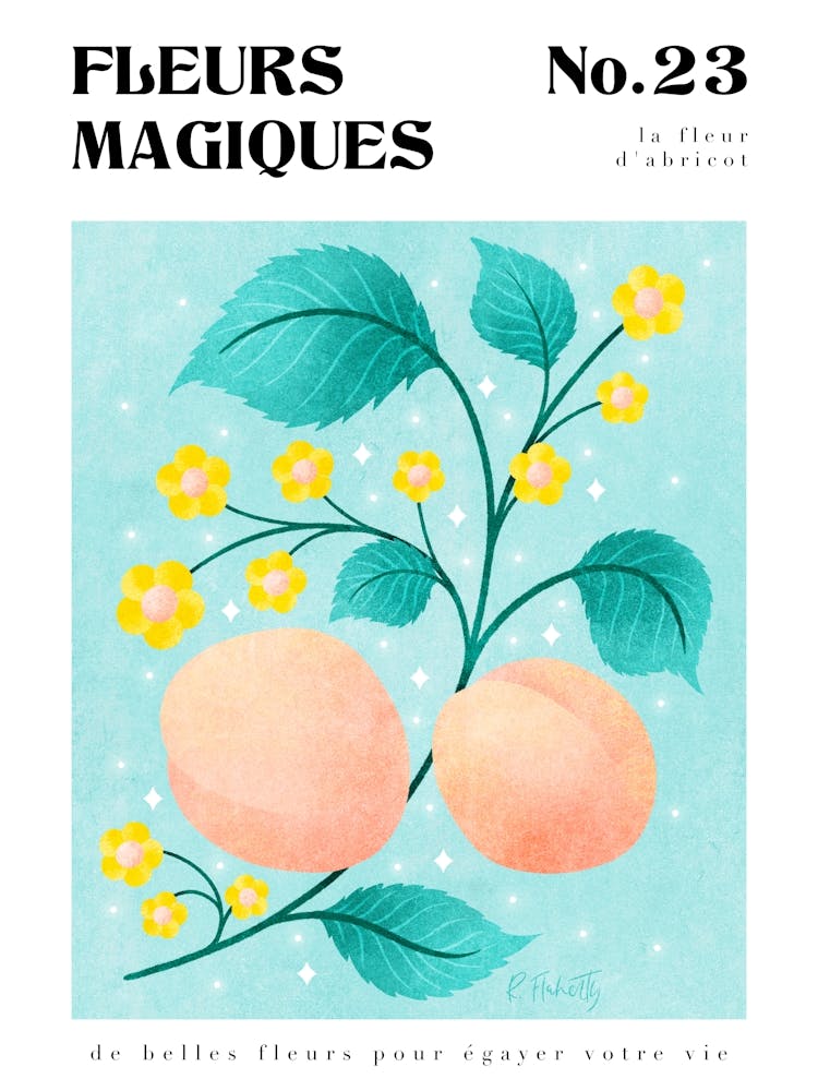Apricot Blossom Botanical Print