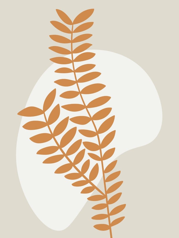 Fern Leaf