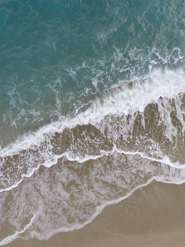 L'Été À La Plage