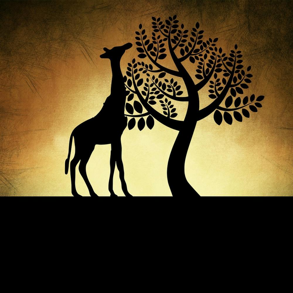 Giraffe And Tree