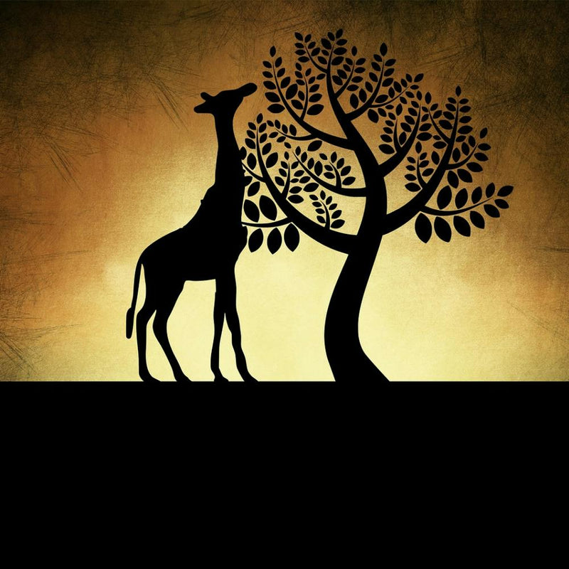 Giraffe And Tree