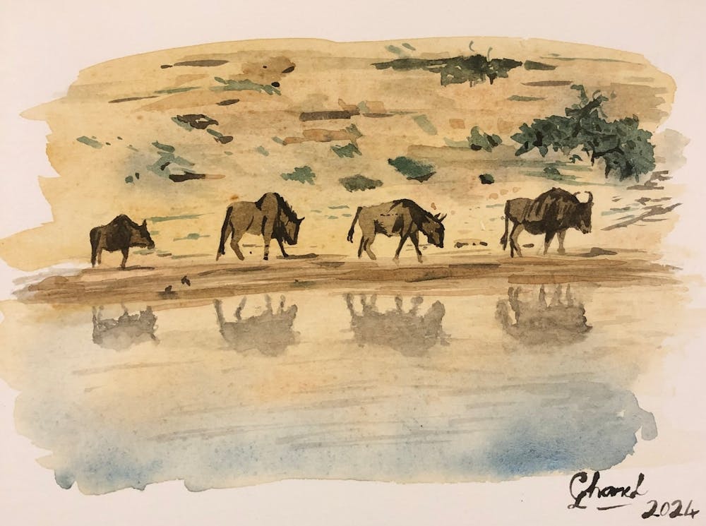 Sentier des Gnous Afrique du Sud