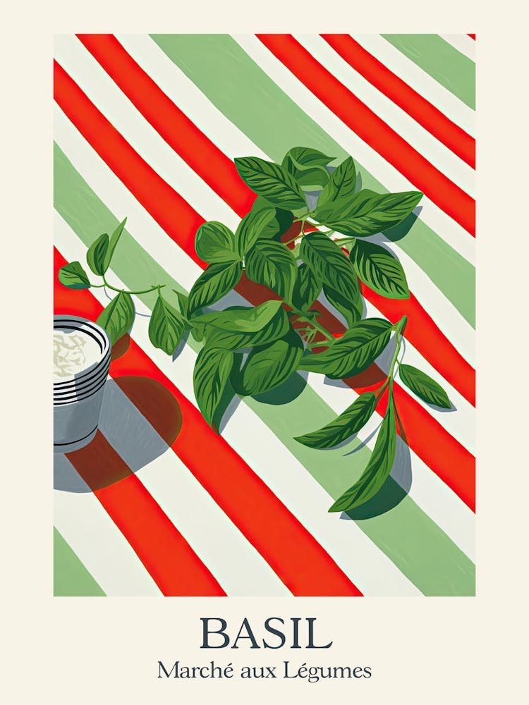 Marche Aux Legumes Basilikum Sommer Illustration 9