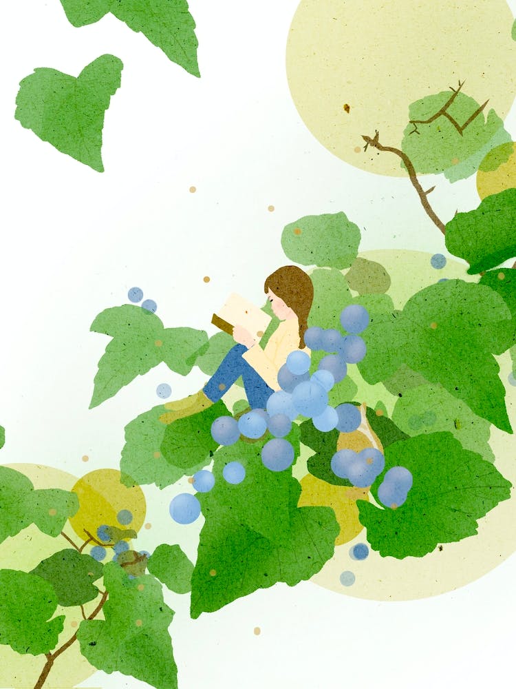 On the Berry Tree