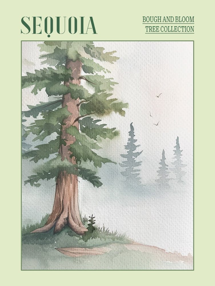 Sequoia Tree Atmospheric Watercolour Painting 4 Poster