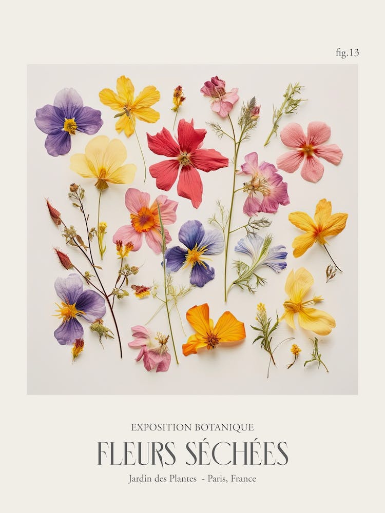 Fleurs Sechees, Dried Flowers Exhibition Poster 13