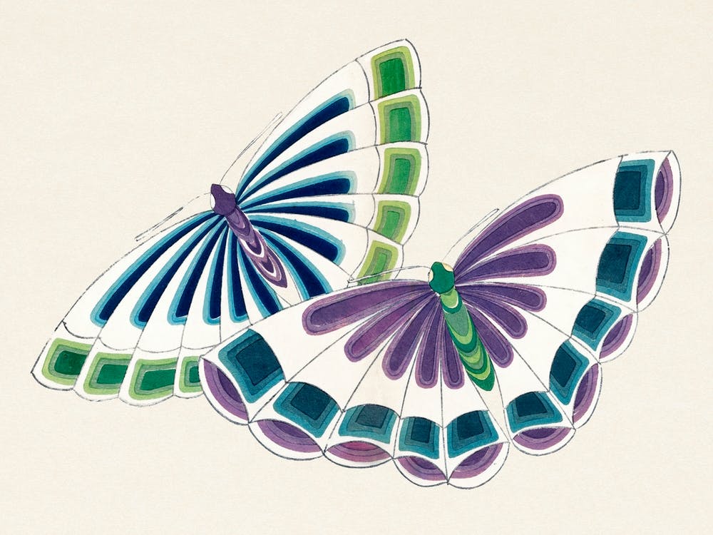 Japanese Butterfly, Cho Senshu (5)