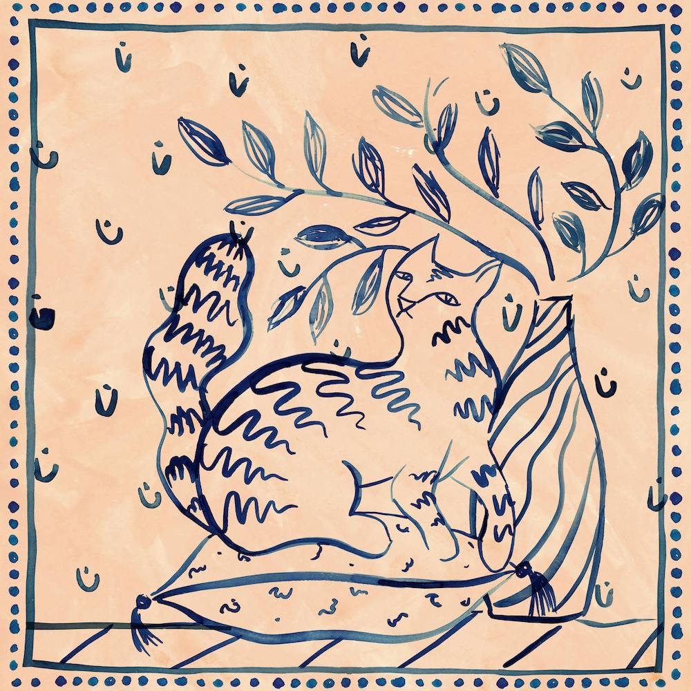 Supra Endura Cats Square