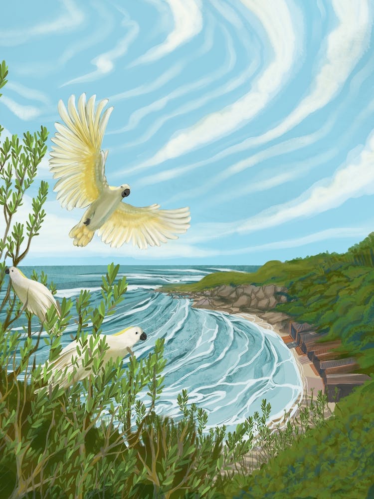 Boatys Alphabet Letter