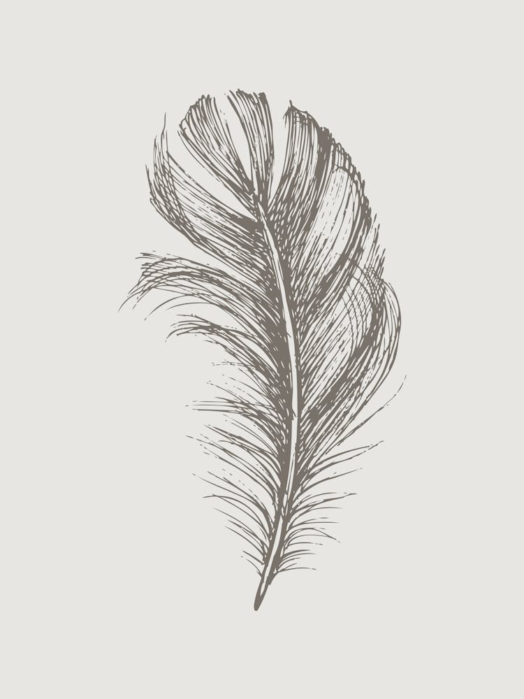 Grey Feather Print 3