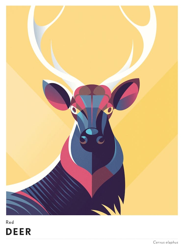 Red Deer