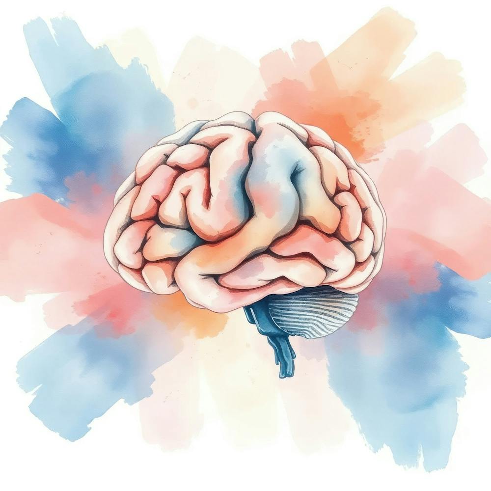 Brain Illustration