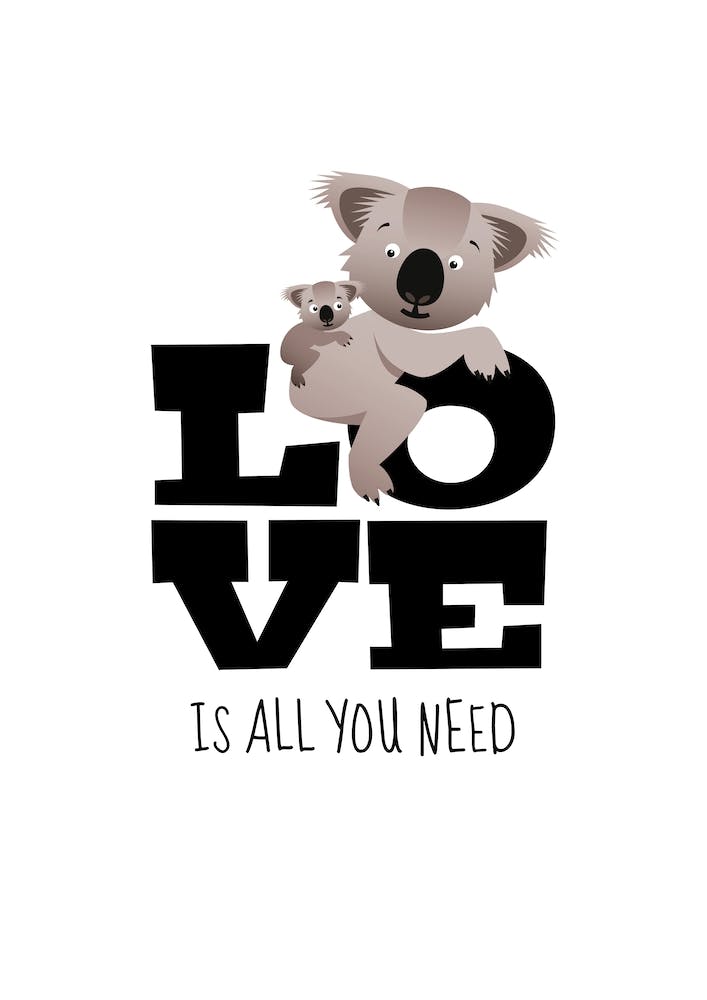 Love Koalas