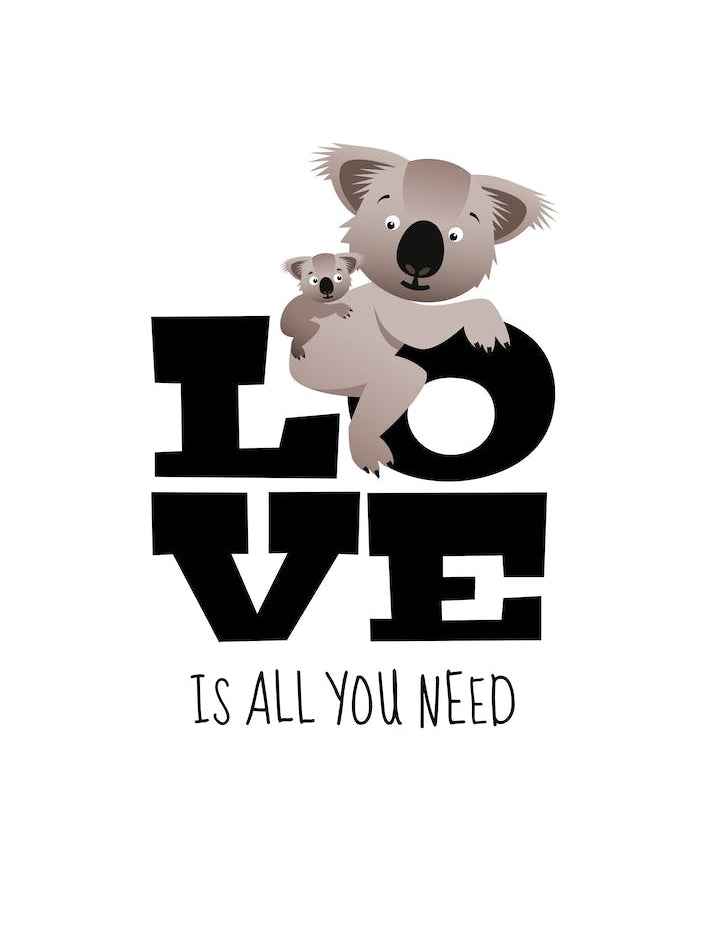 Love Koalas