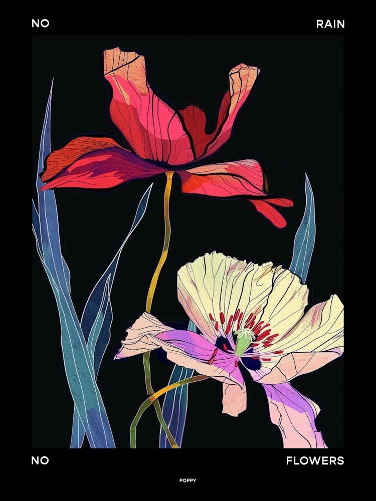 Ohne Regen keine Blumen Poster Mohn 2