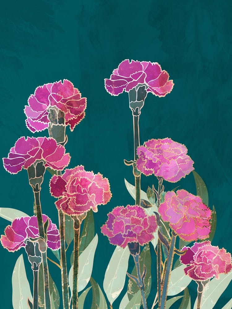 Carnations