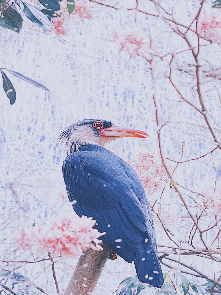 Bird Perched On A Branch 1