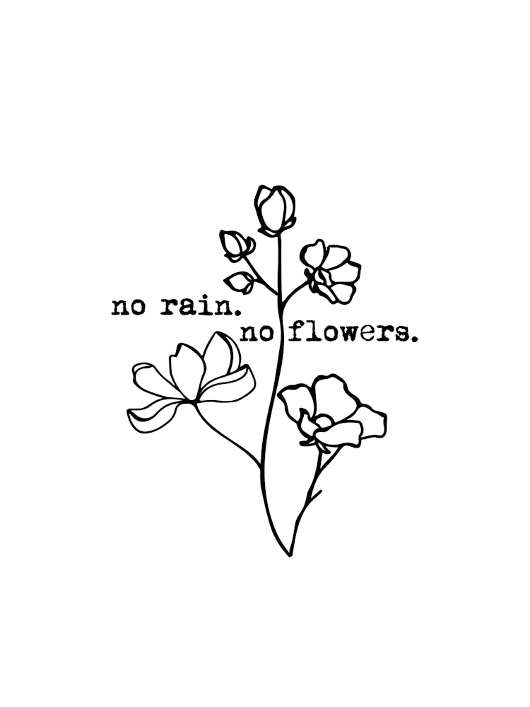 No Rain No Flowers