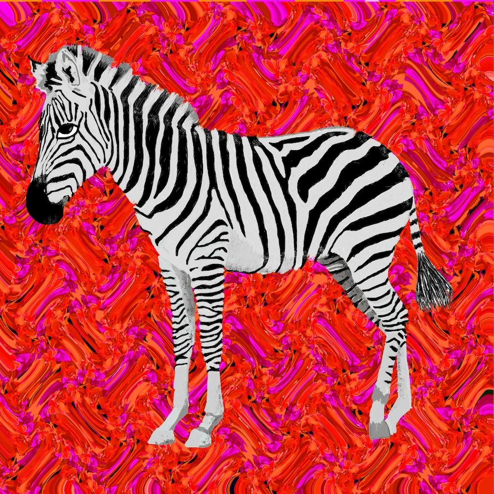 Oh Zebra Square