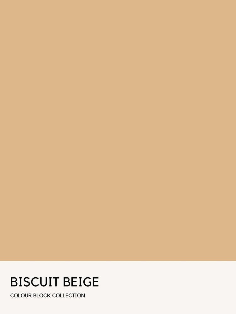 Biscuit Beige Colour Block Poster