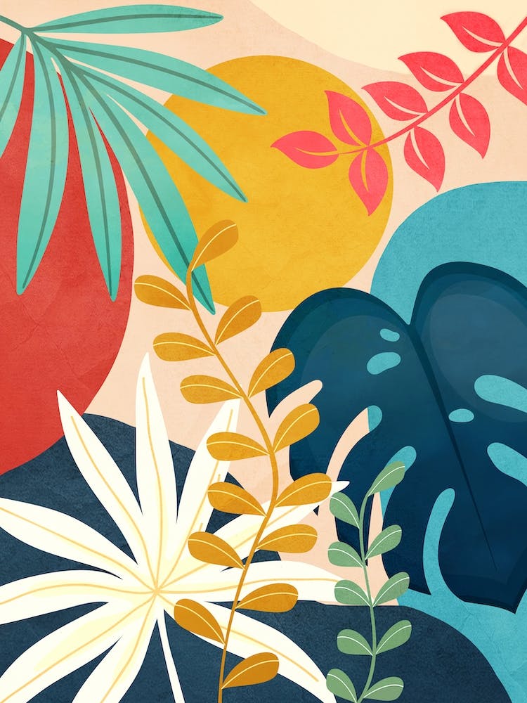 Garden In The Sunshine1