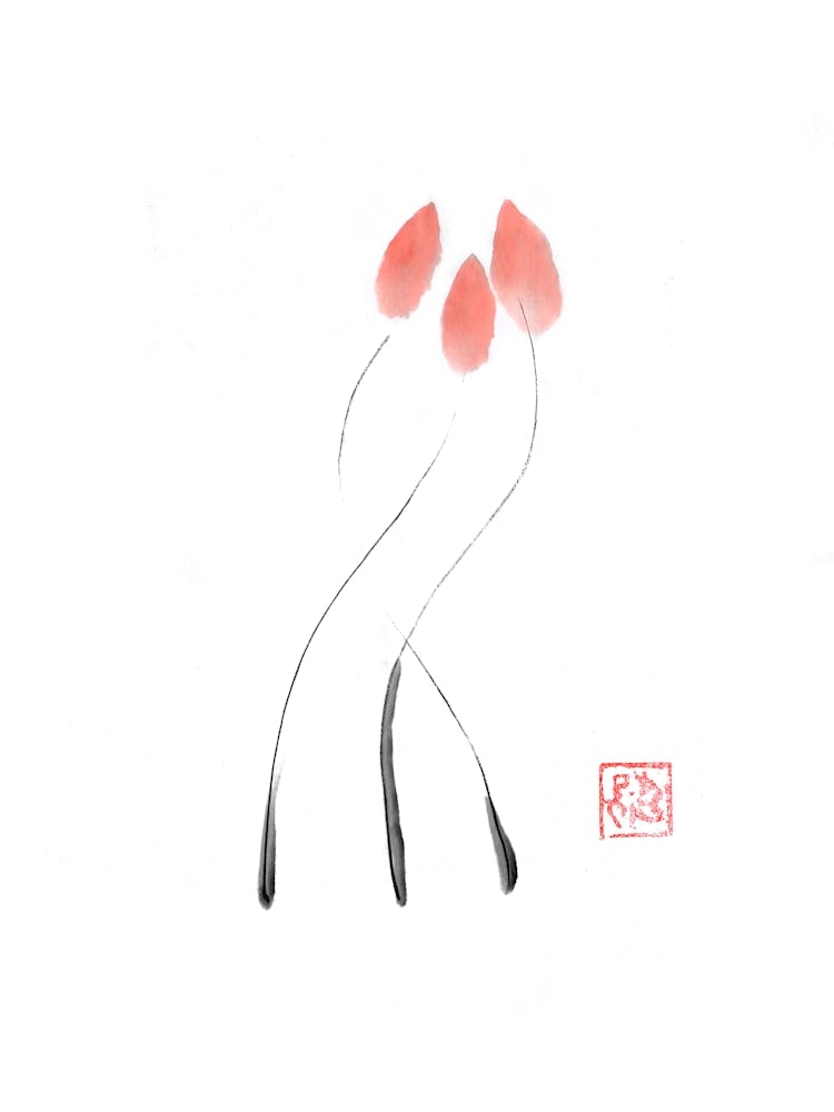 Tulip 1