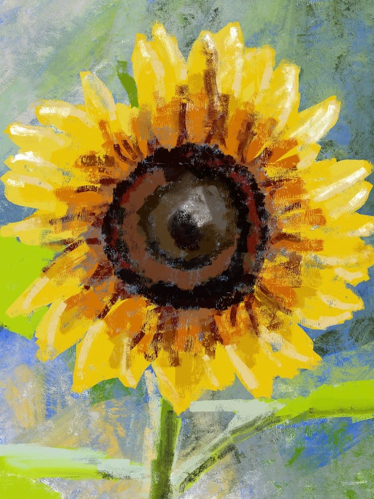 Sunflower