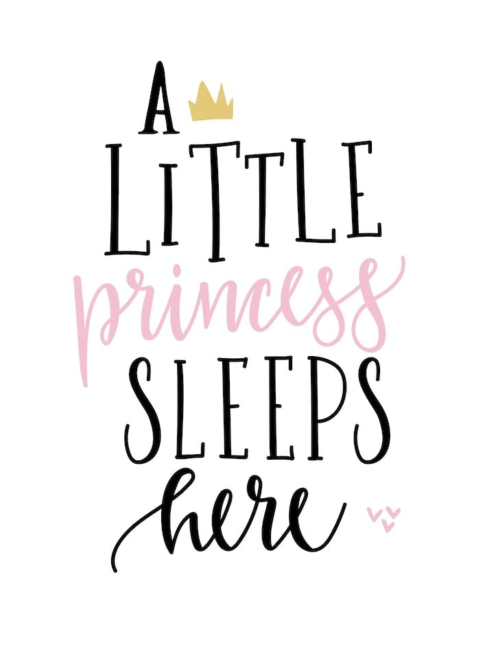 Little Princess Sleeps Here