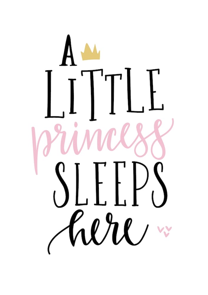 Little Princess Sleeps Here