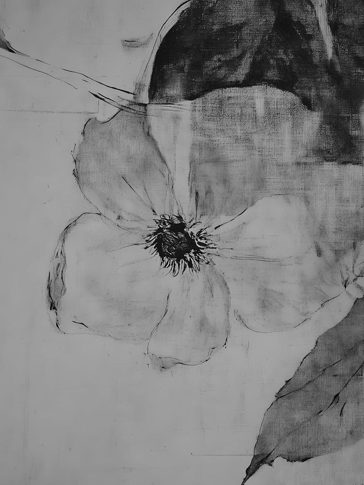 'Flora' 1