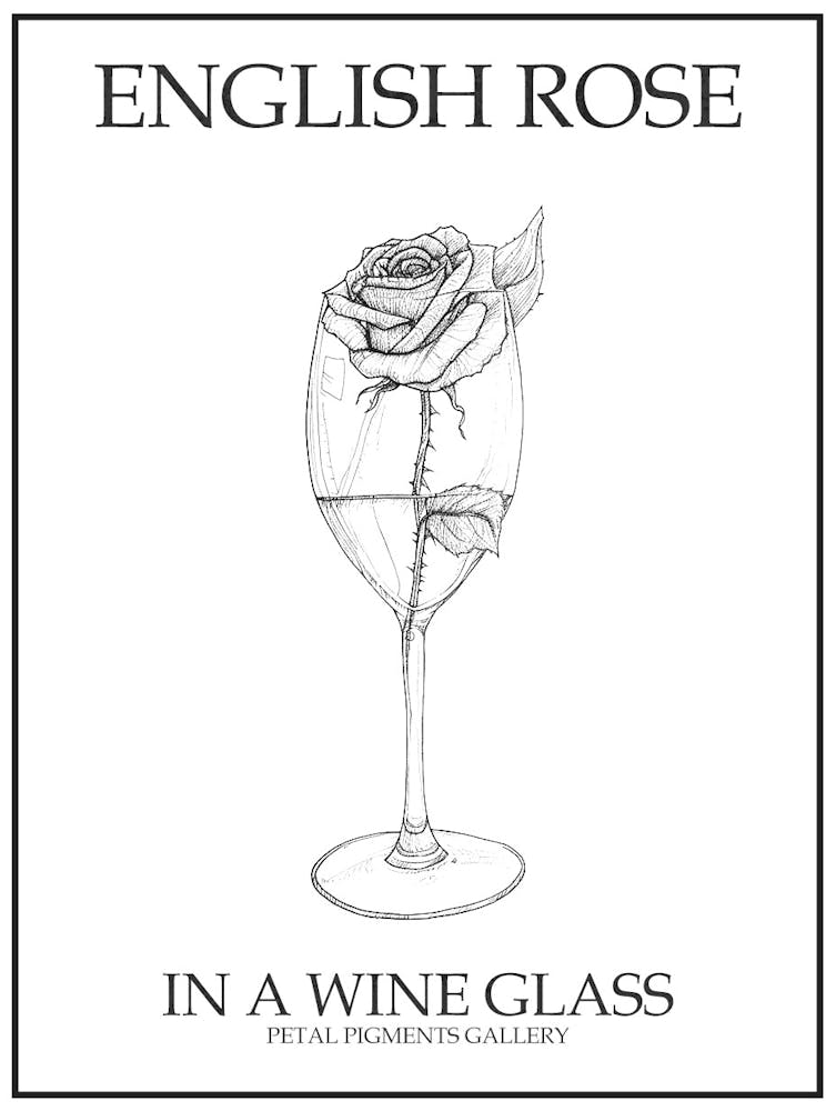 Englische Rose in einem Weinglas Strichzeichnung 4 Poster
