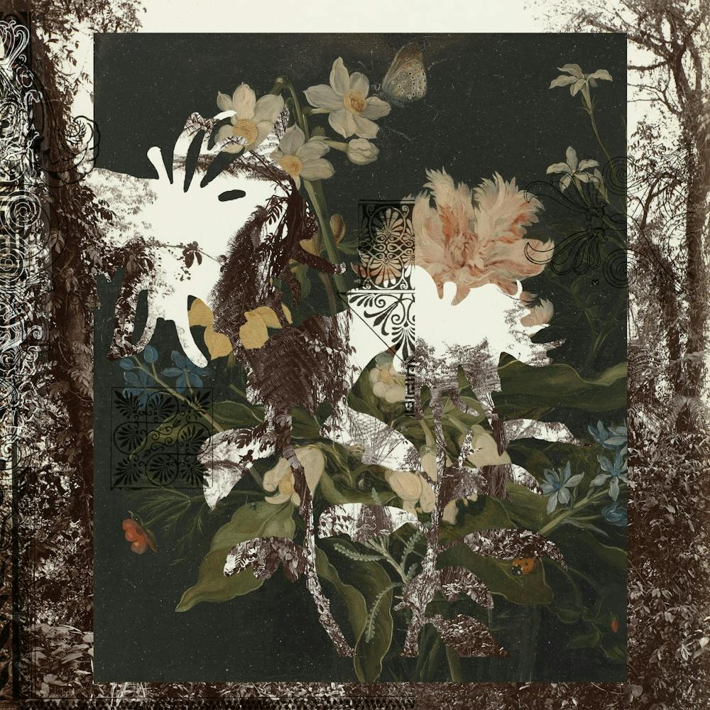 The First Plant · Botonical The Mix 4