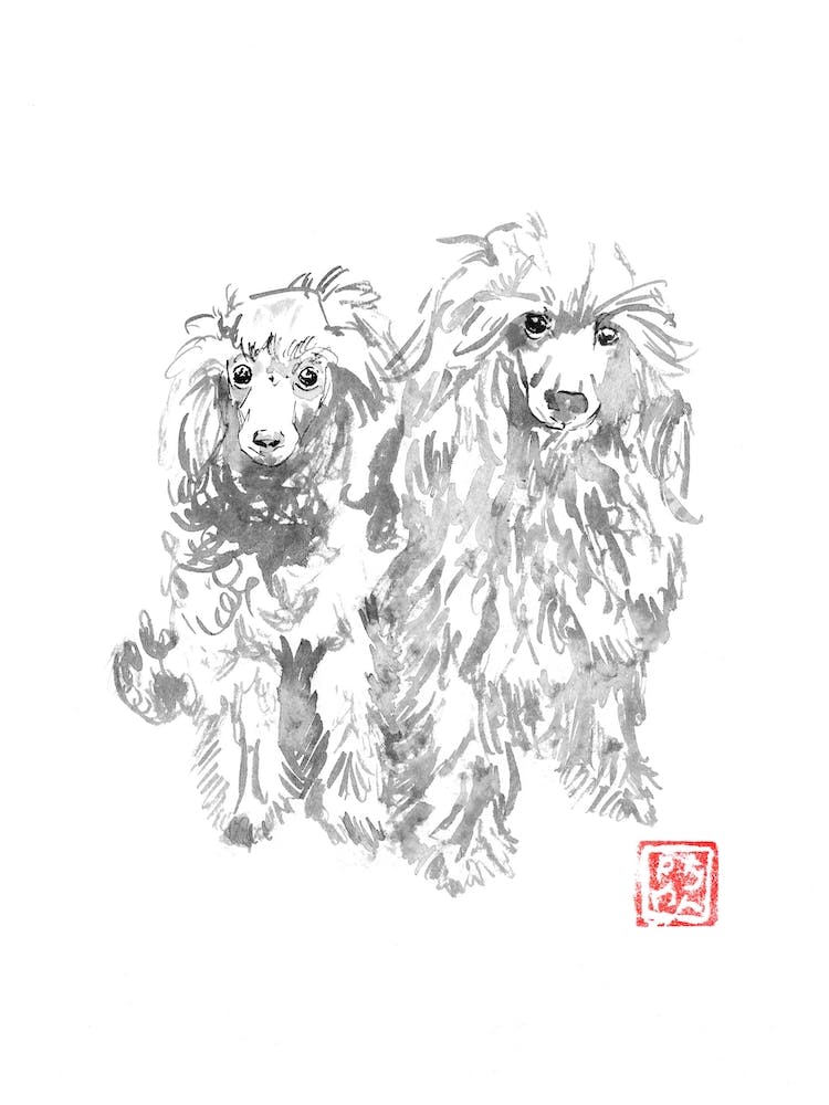 2 Hunde