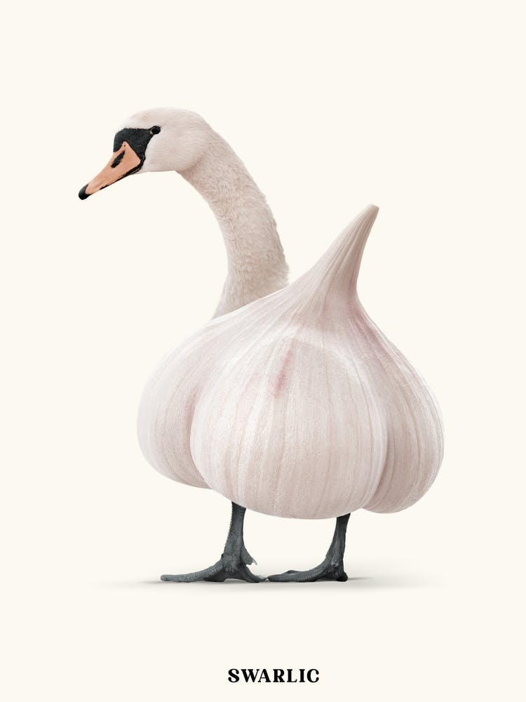 Swarlic White
