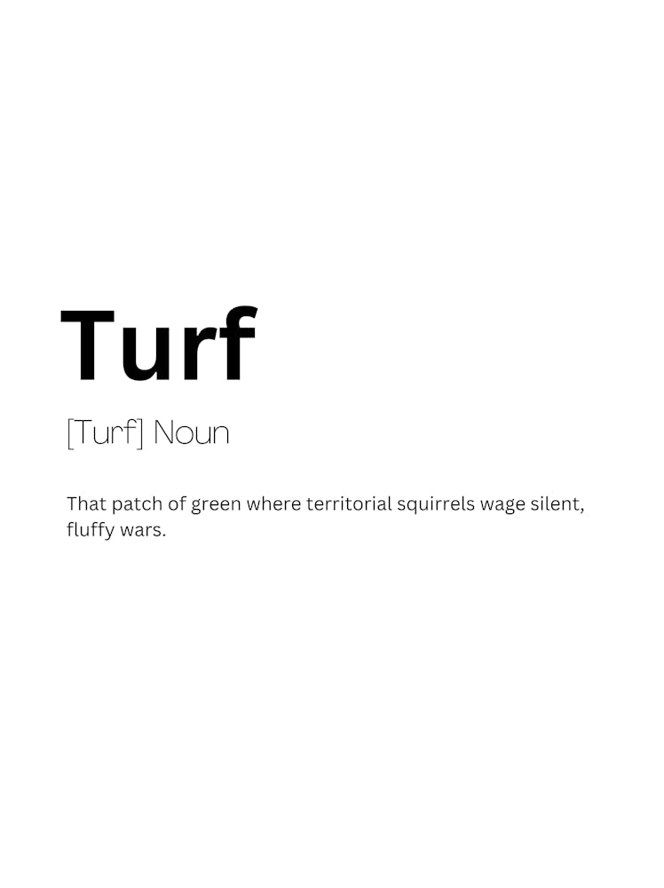 Turf Definition Meaning