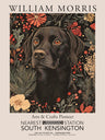 Dog Art Prints