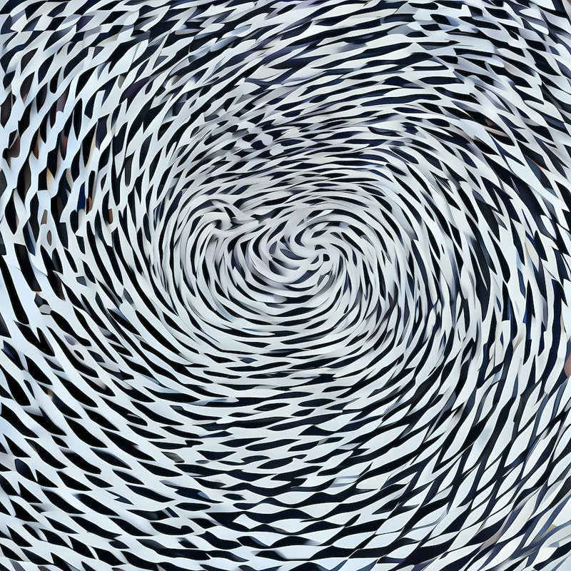 Spiral In Black And White